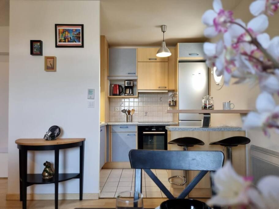 Appartement Cosy Centre Brie Comte Robert Luaran gambar